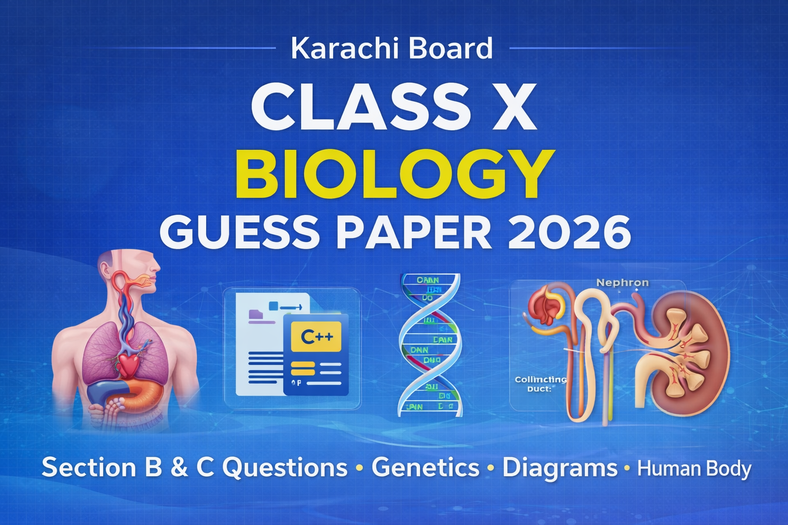 Class X Biology Guess Paper 2026 Karachi Board Section B and C Important Questions